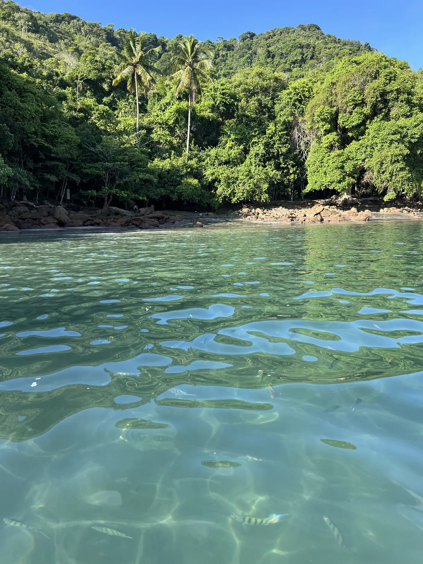 Água verde e transparente da piscina natural da Praia da Fortaleza — foto autoral de Renan Life, Ubatuba