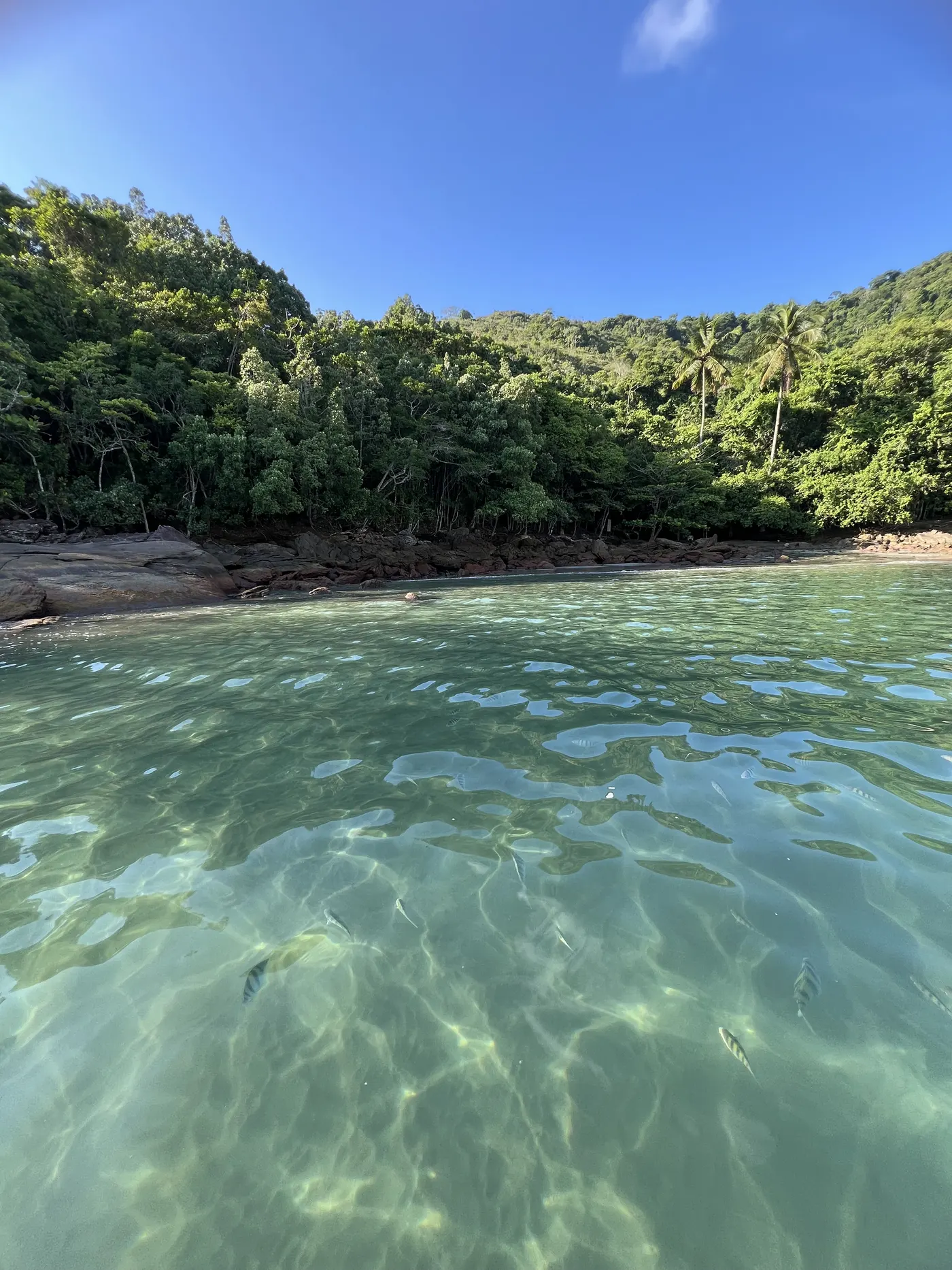 Água cristalina da piscina natural da Praia da Fortaleza — foto autoral de Renan Life, Ubatuba