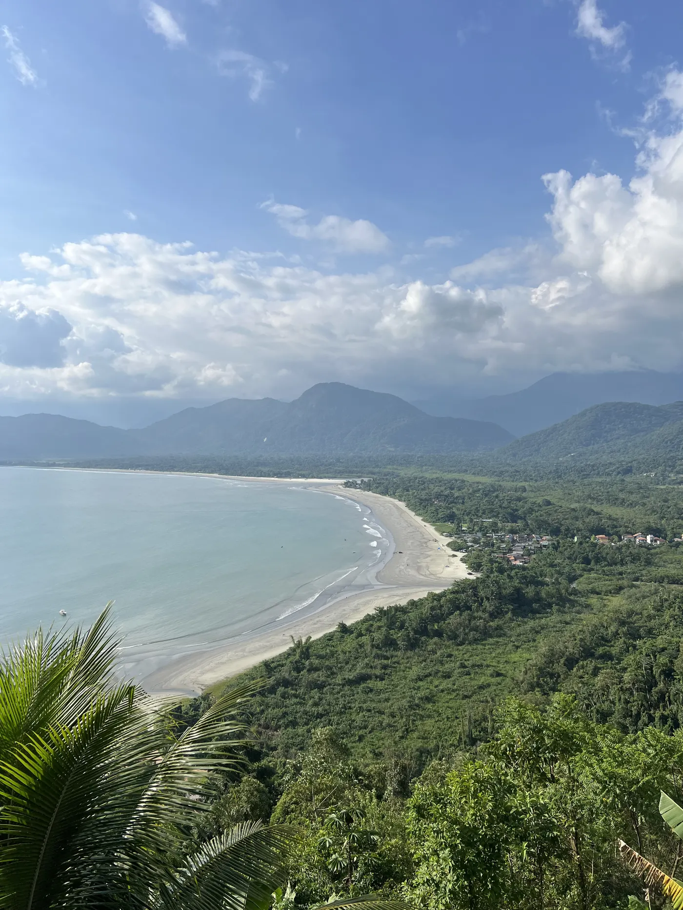 Vista do alto da Praia da Almada com a mata e as montanhas — foto autoral de Renan Life, Ubatuba