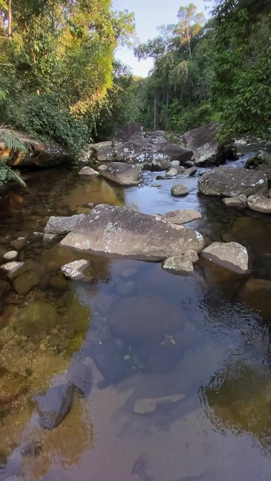 Poço de cachoeira com água transparente em Ubatuba