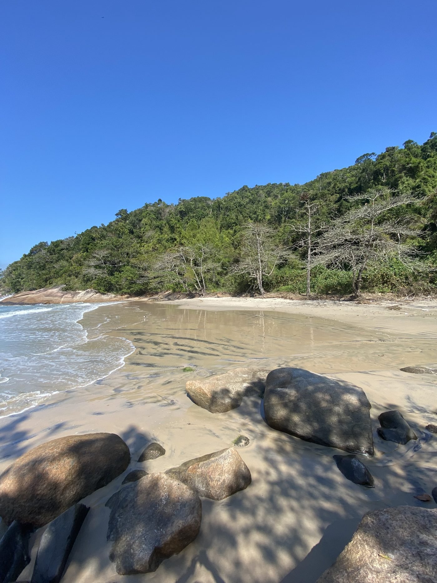 Praia de Fora em Ubatuba com pedras na areia e mata no costão