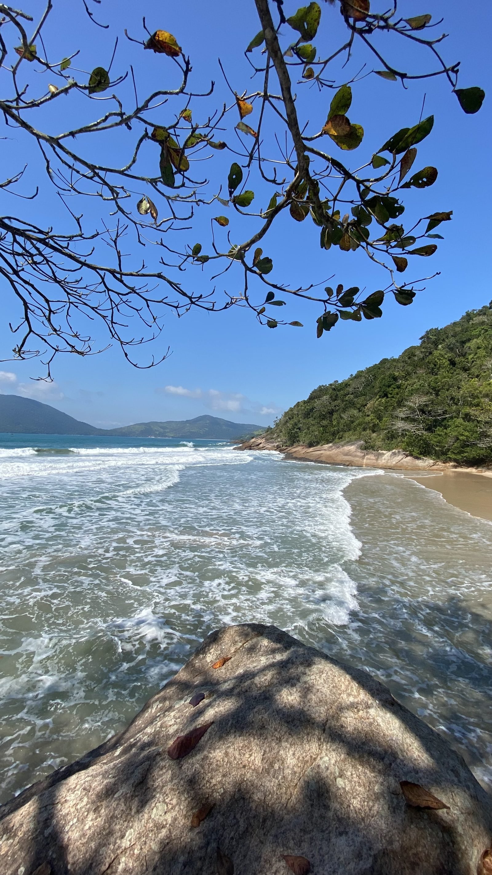 Ondas chegando na areia da Praia de Fora, em Ubatuba, com mata no costão e morros ao fundo