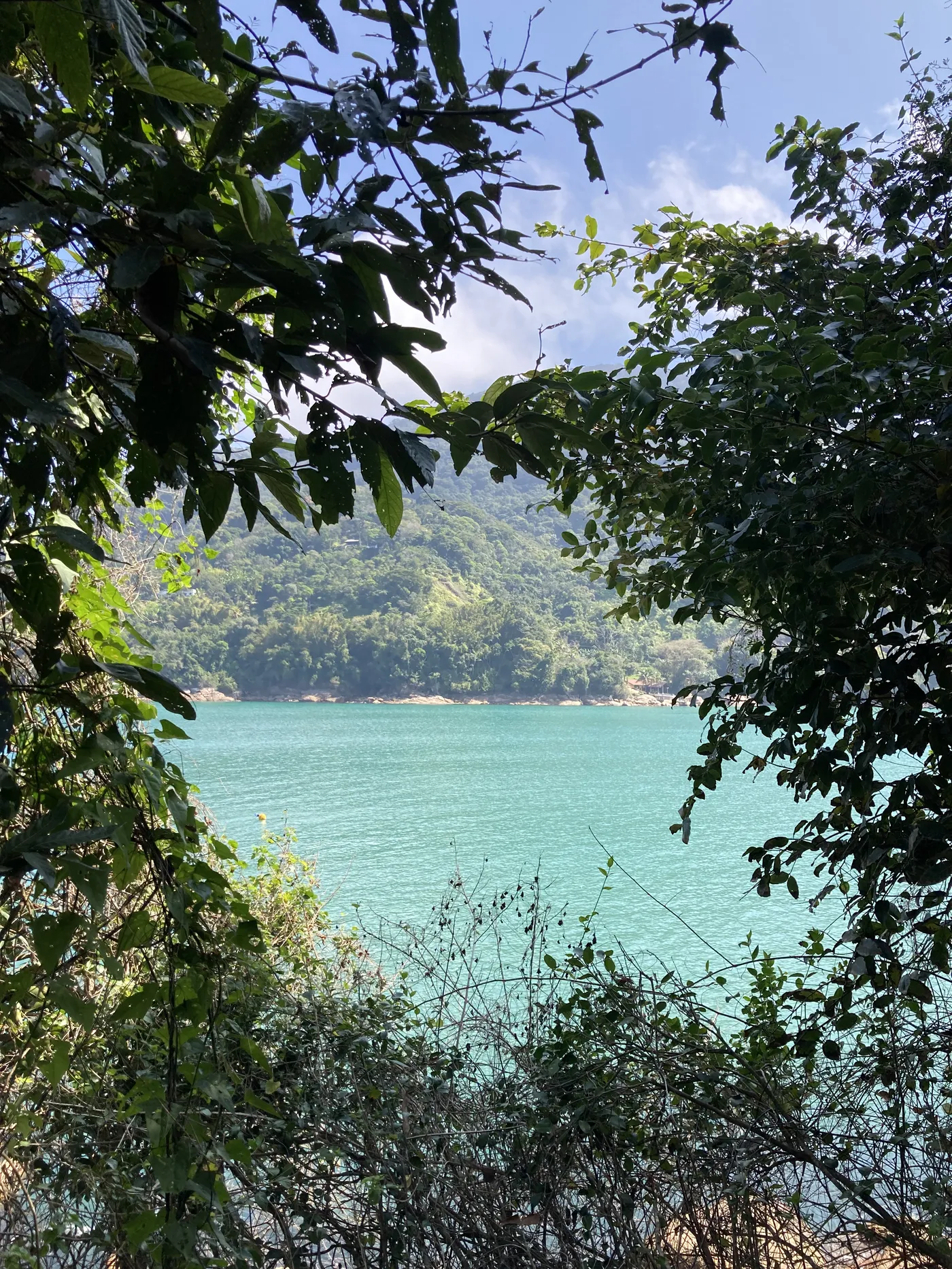 Cenário de ensaio gestante — foto autoral de Renan Life, Ubatuba