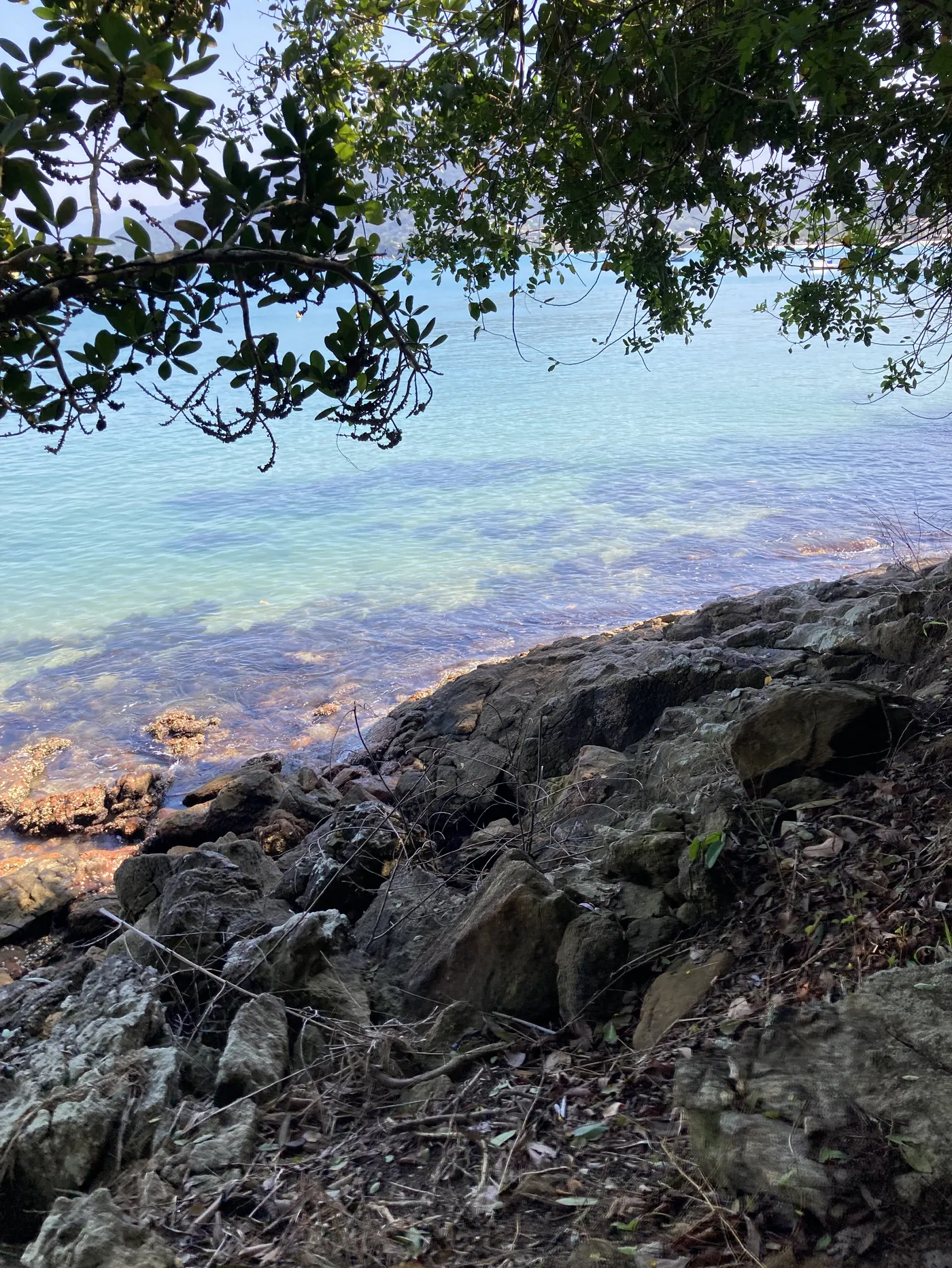 Ensaio na Praia da Enseada — foto autoral de Renan Life, Ubatuba
