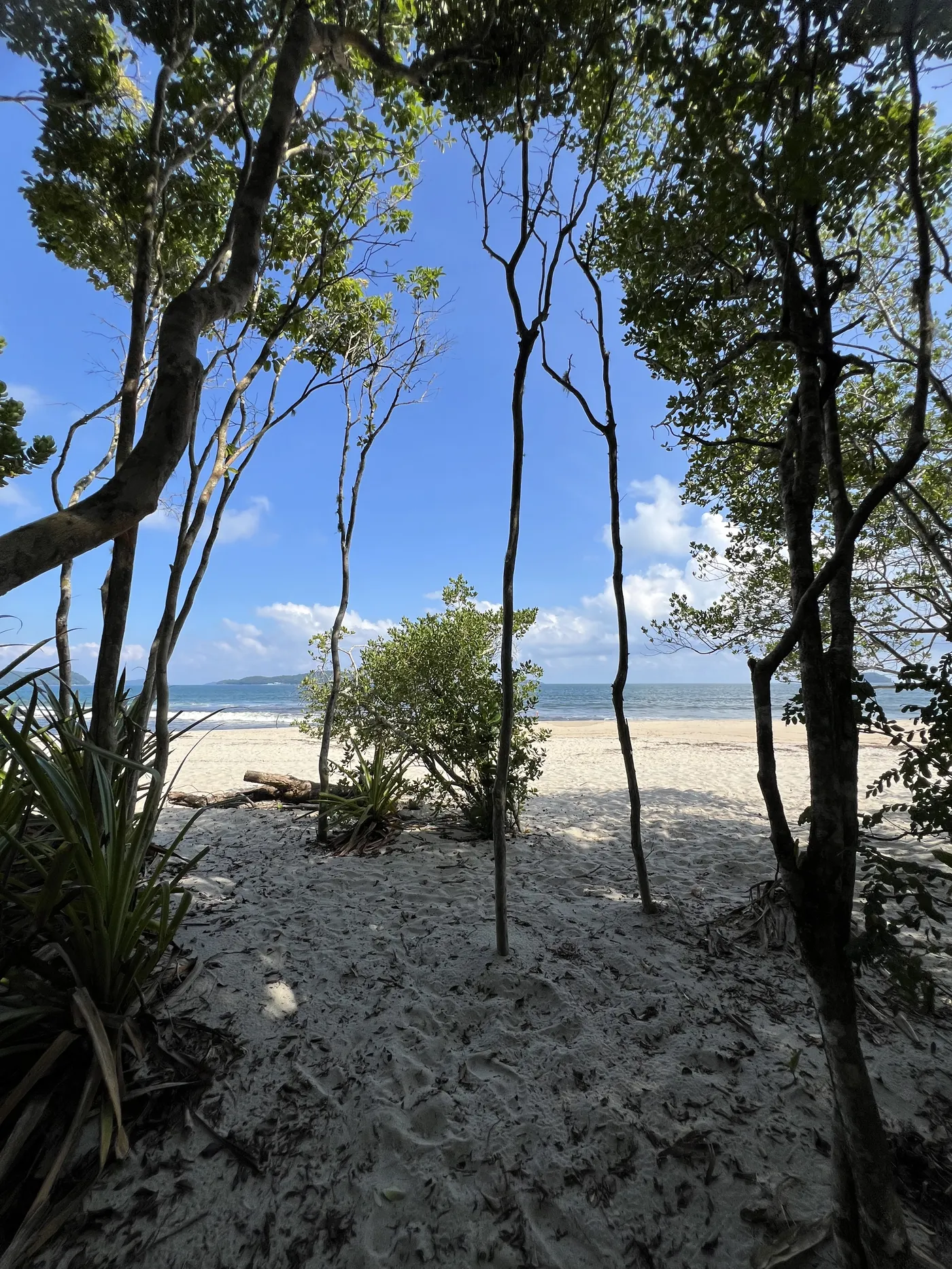 Ensaio na Praia do Puruba — foto autoral de Renan Life, Ubatuba