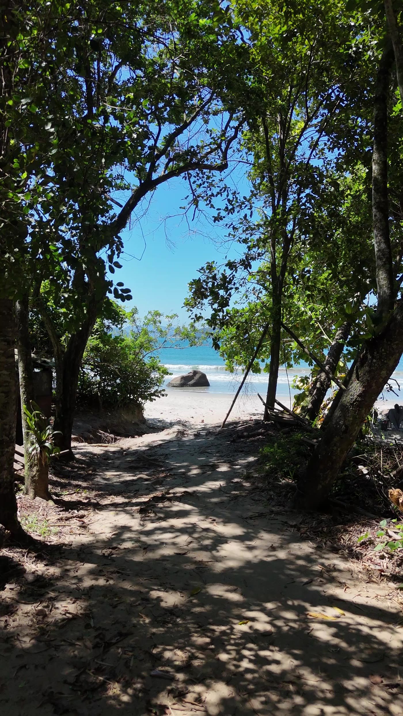 Trilha na sombra da mata saindo na areia da Praia do Léo