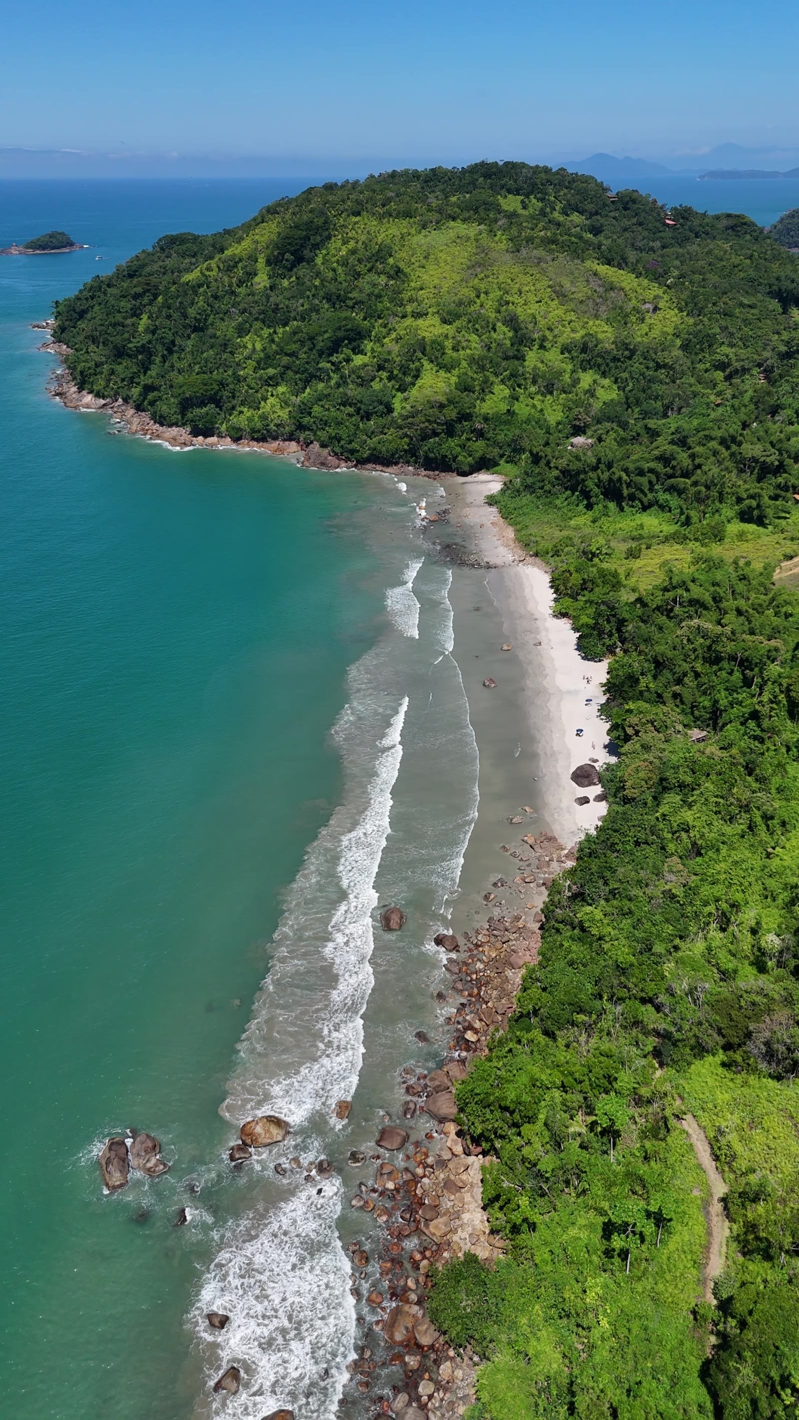 Praia do Léo, no norte de Ubatuba, vista de cima com a mata descendo até a areia