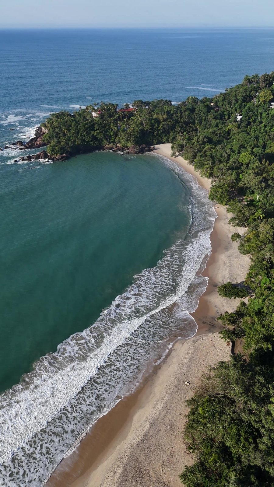 Praia vazia cercada de mata vista de drone