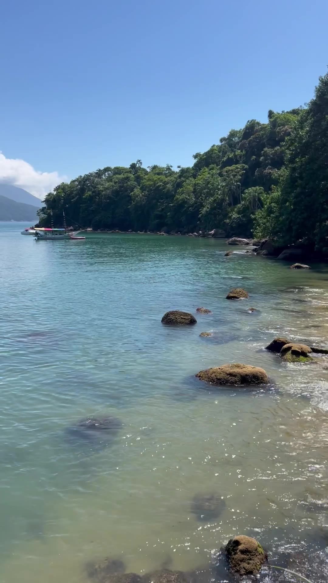 Mar calmo e transparente com pedras e mata atlântica na Prainha do Cais, em Ubatuba