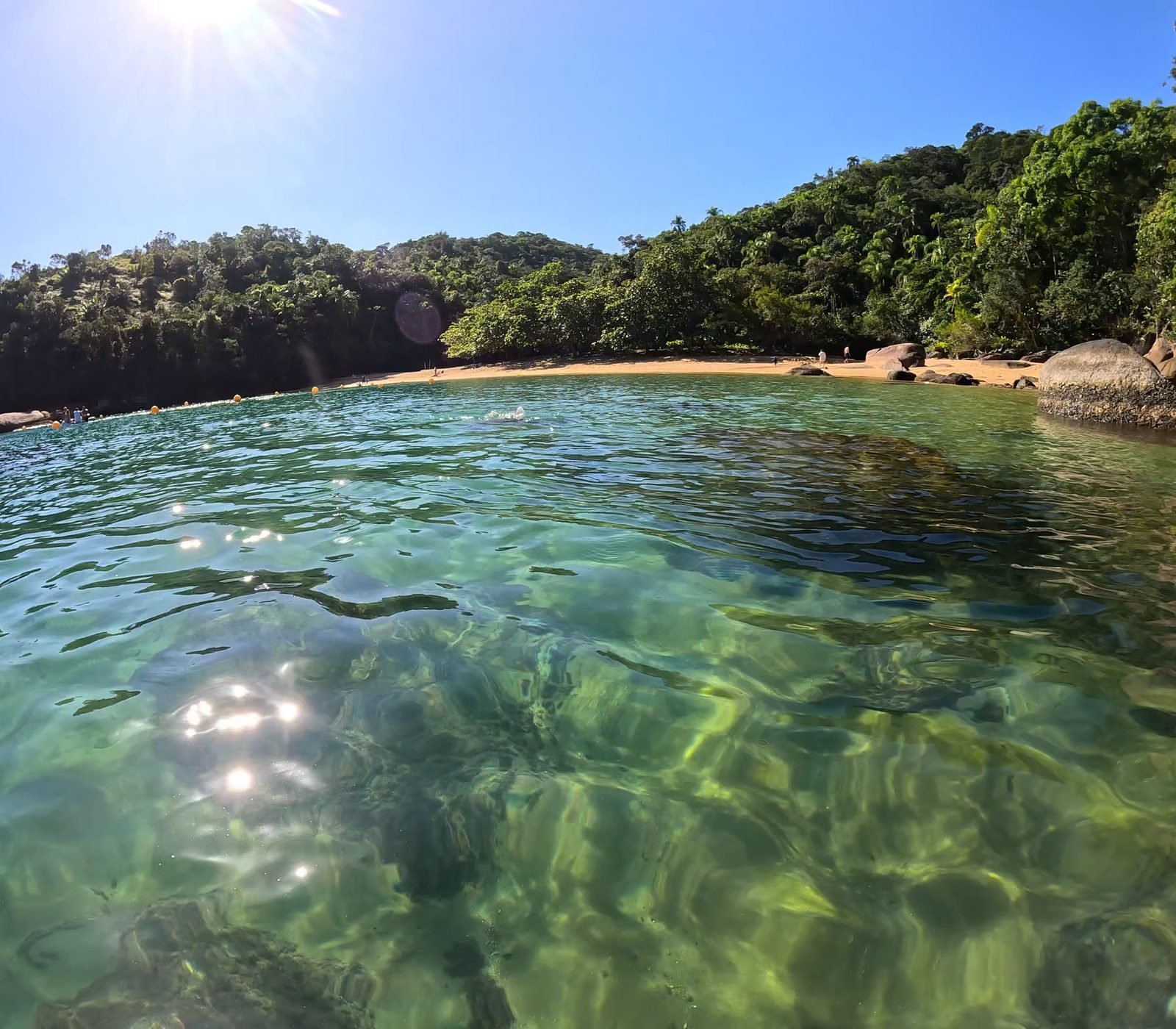 Água verde e transparente numa praia de mata da Ilha Anchieta, vista de dentro do mar