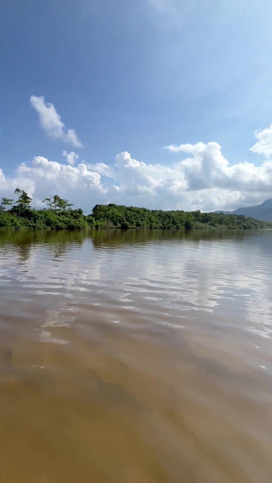 Rio de água escura correndo pro mar