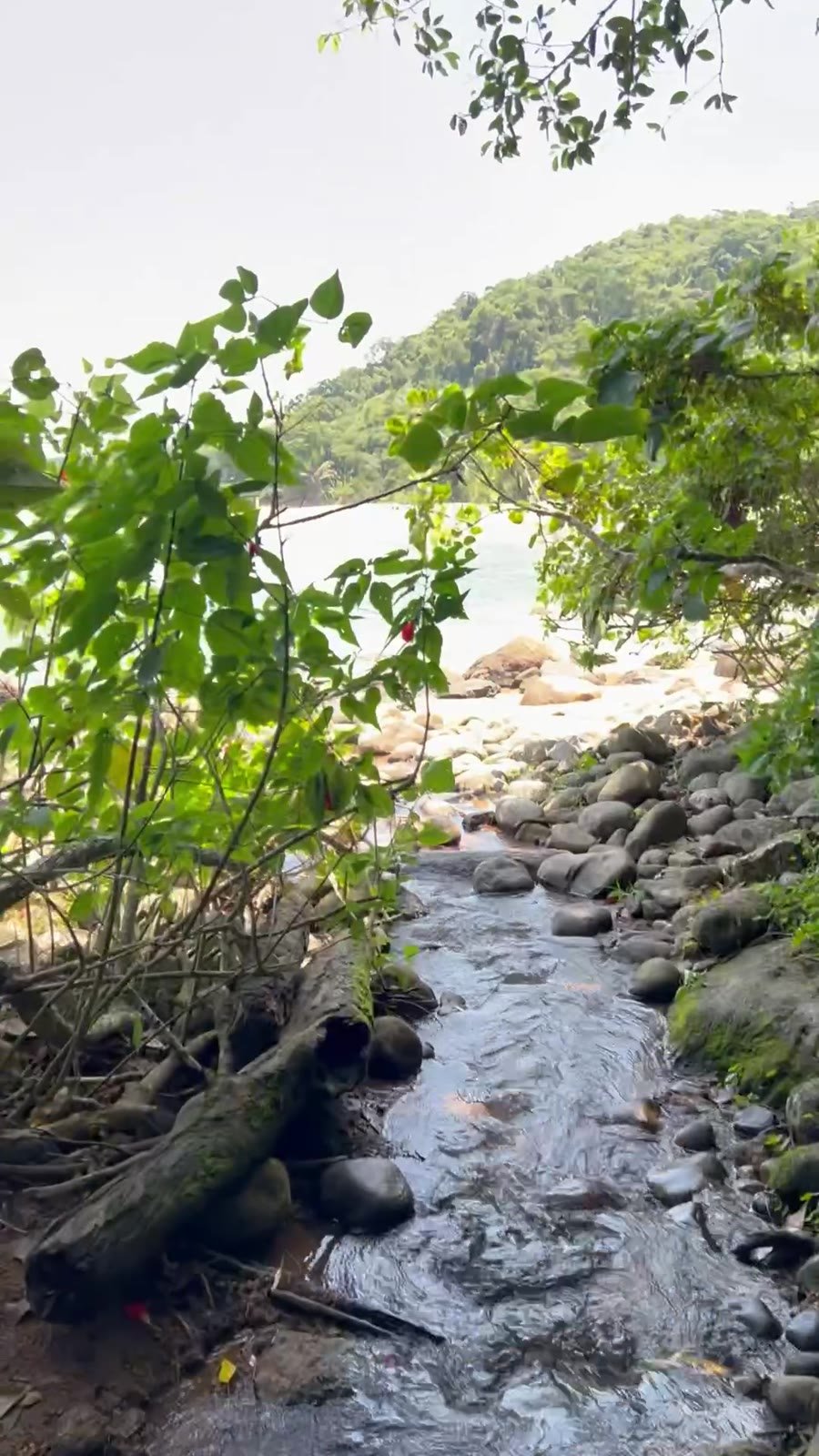 Água da cachoeira descendo até o mar na Praia Vermelha do Norte