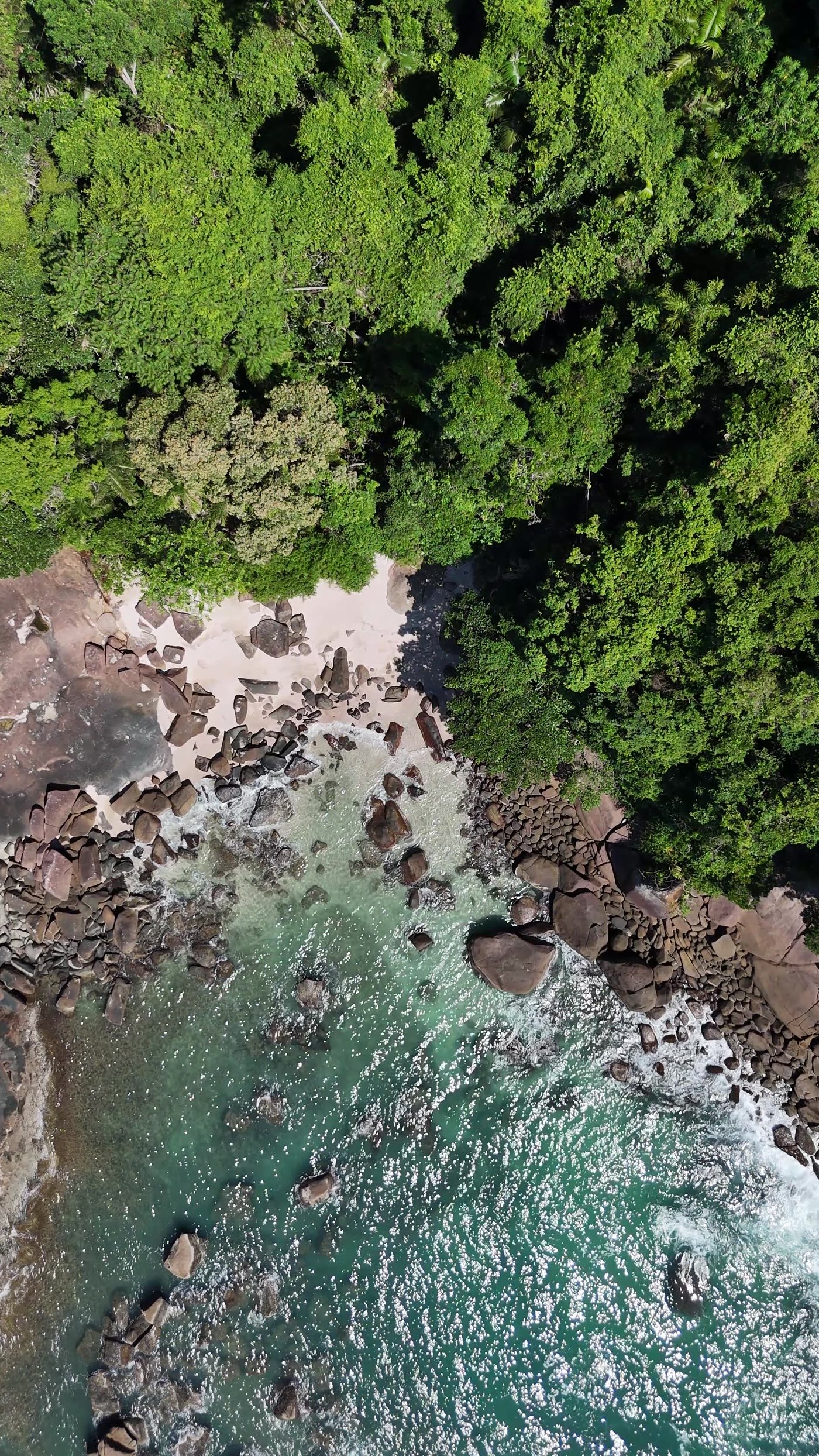 Drone sobre a Praia das Conchas: mata encostando nas pedras e no mar