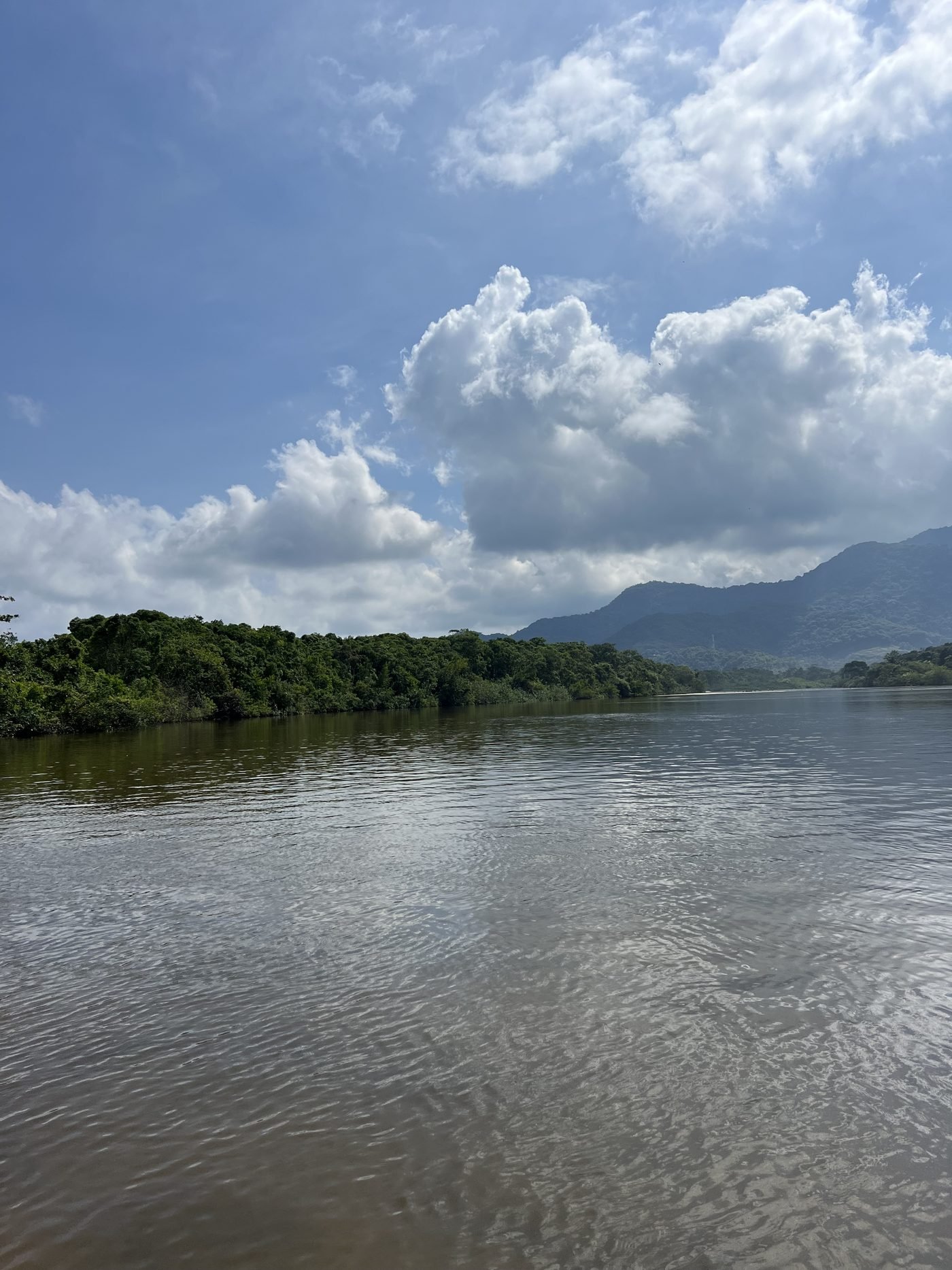 Rio largo e calmo do Puruba com mata e montanha ao fundo