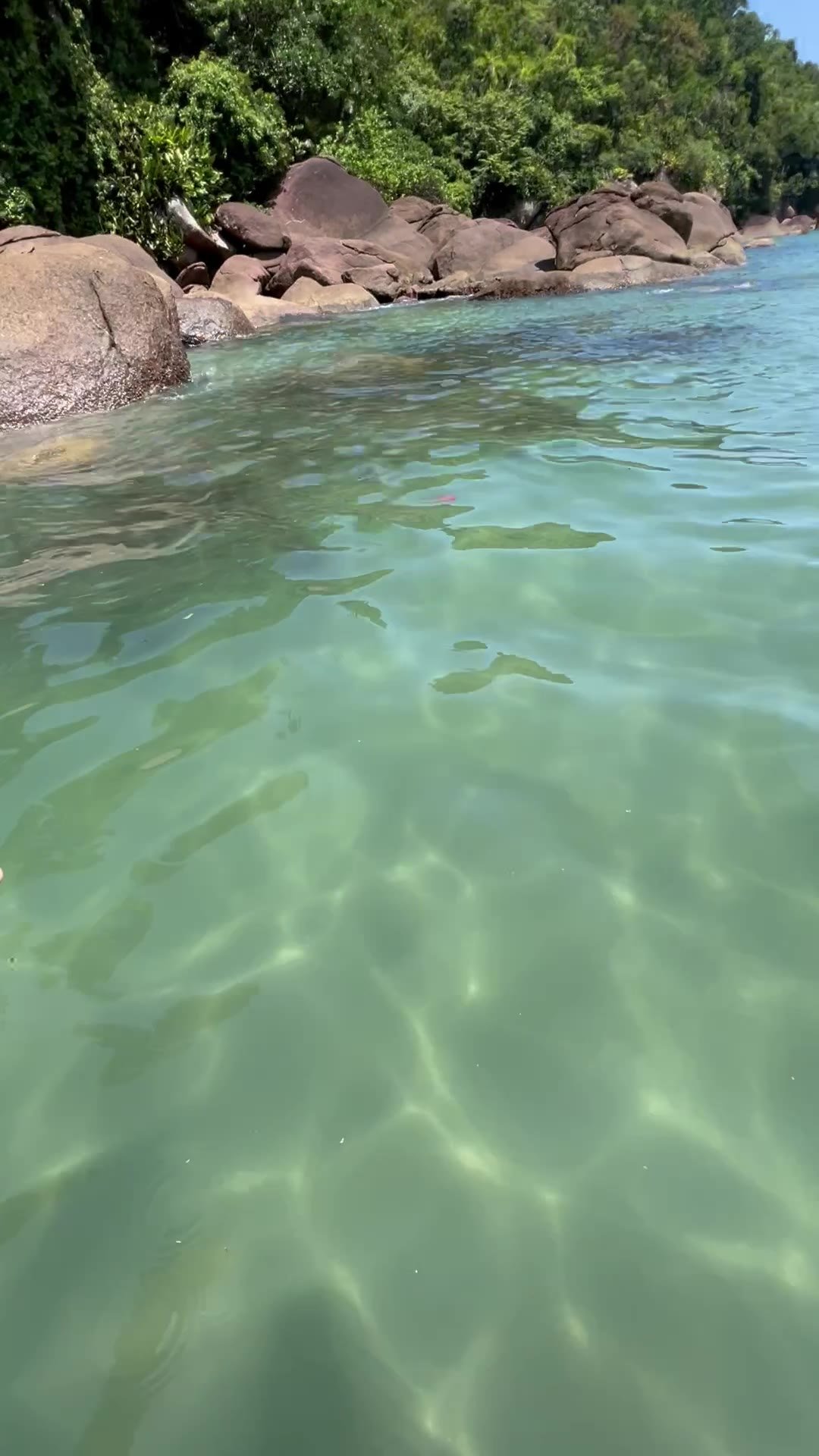 Água cristalina da Praia do Alto, em Ubatuba