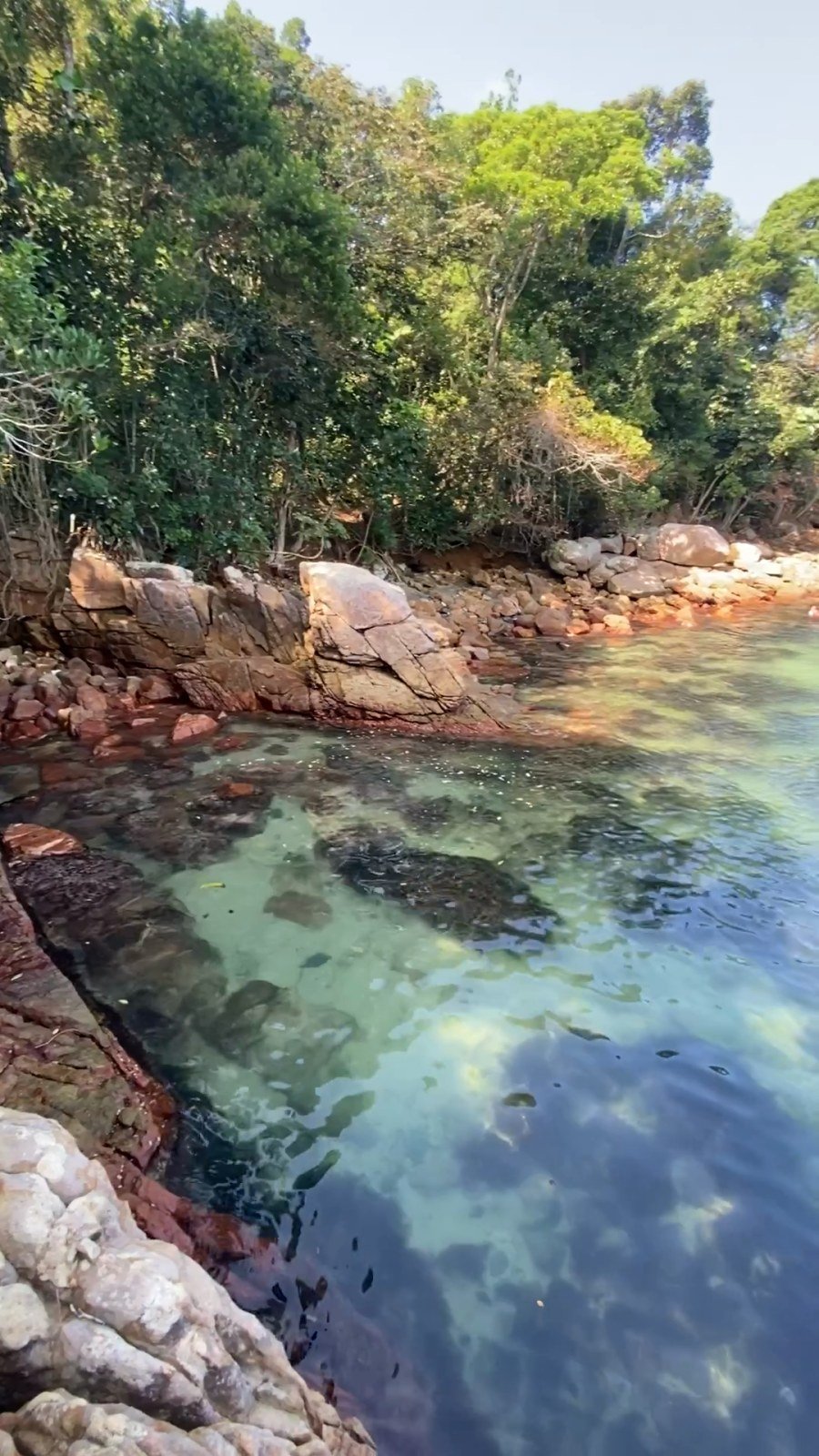 Água transparente no costão de pedra da Praia de Santa Rita, em Ubatuba