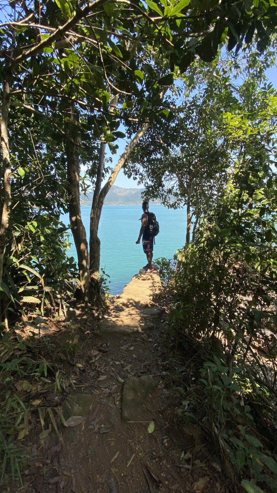 Trilha na mata do costão entre o Perequê-Mirim e a Praia de Santa Rita