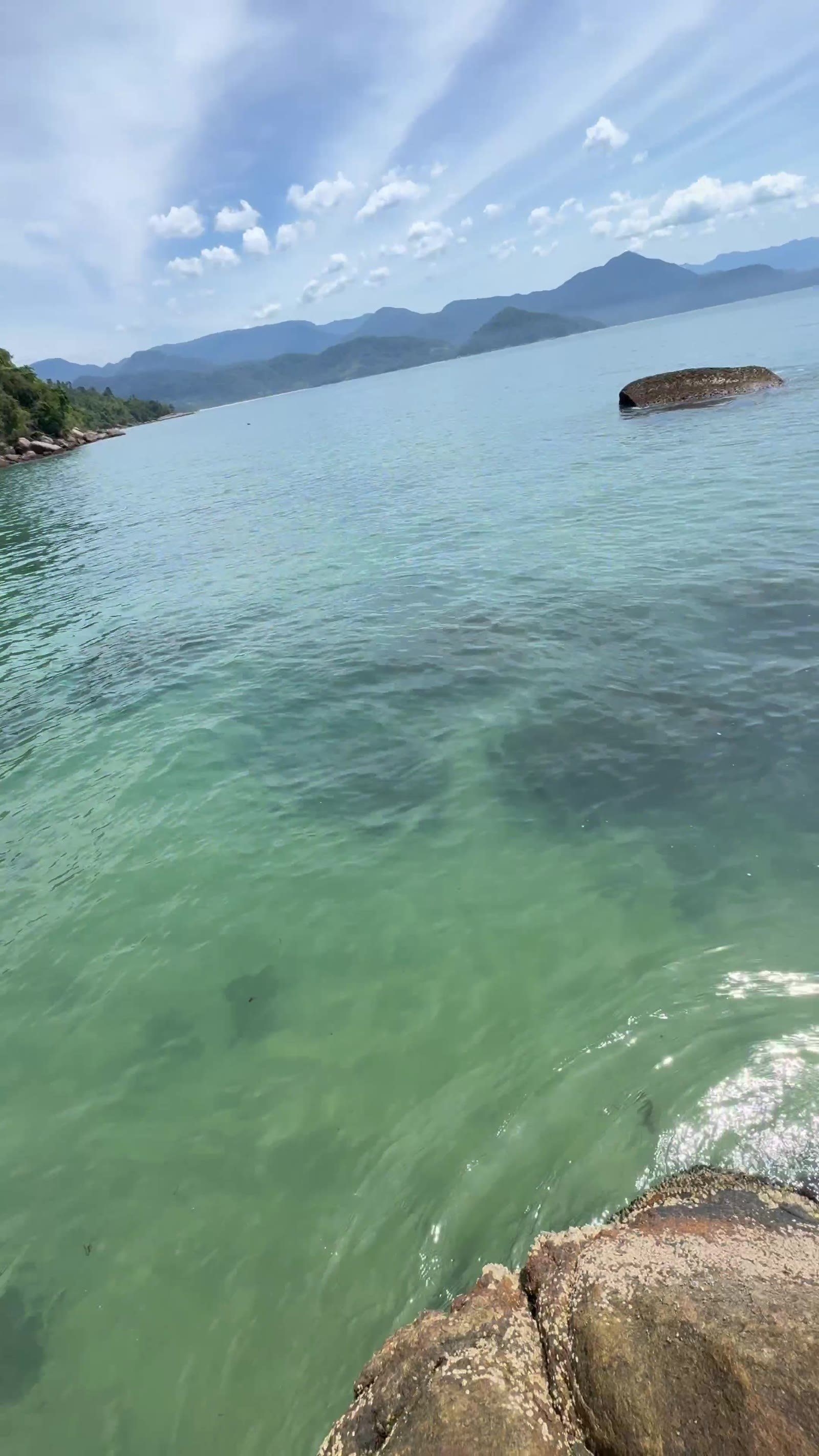 Água verde e transparente sobre as pedras na Praia do Cedro do Centro, em Ubatuba