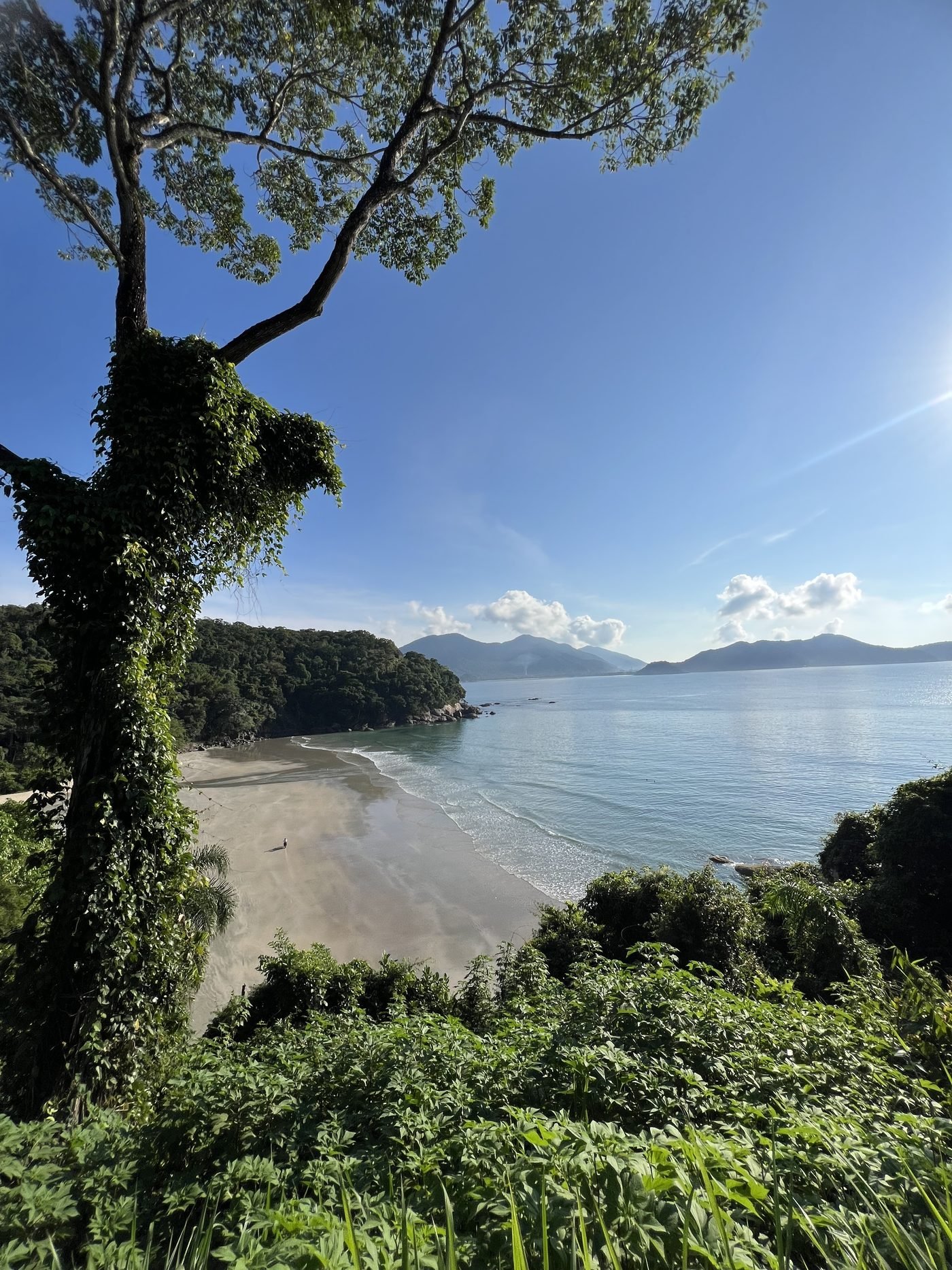 Vista do Mirante do Pirata com árvore, areia da Praia Brava da Fortaleza e mar