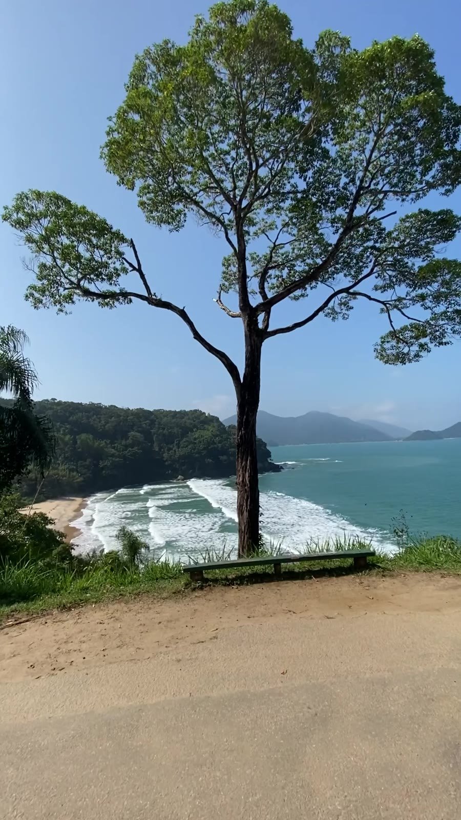 Mirante com árvore e praia lá embaixo